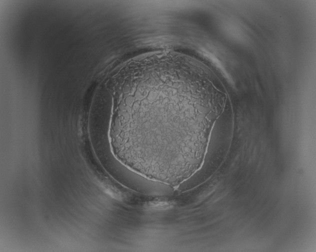 X0000072510161200607141141