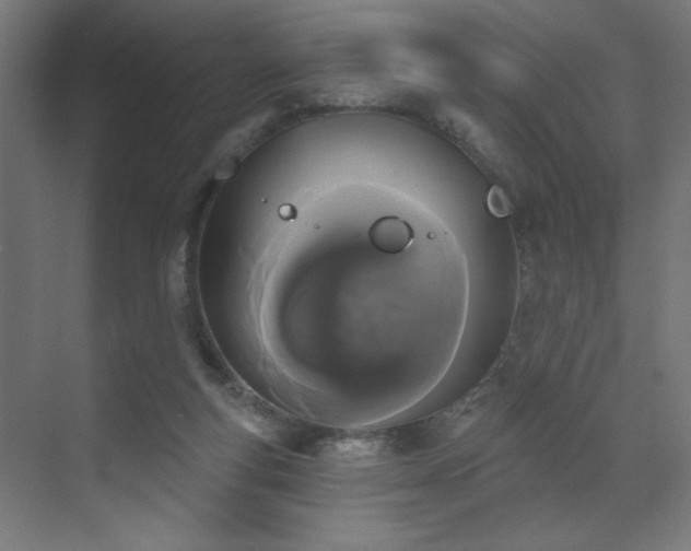 X0000072510163200607141141