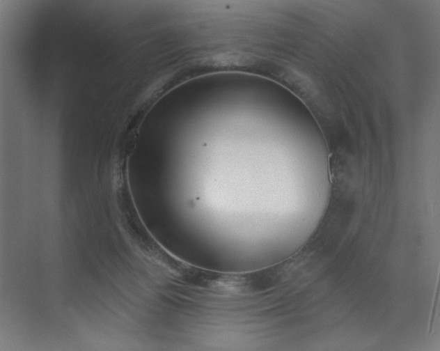 X0000072510164200607141141