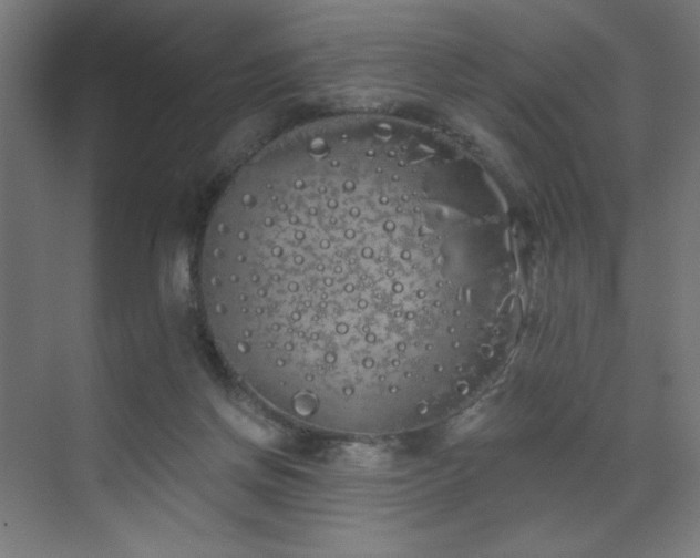 X0000072510166200607141141