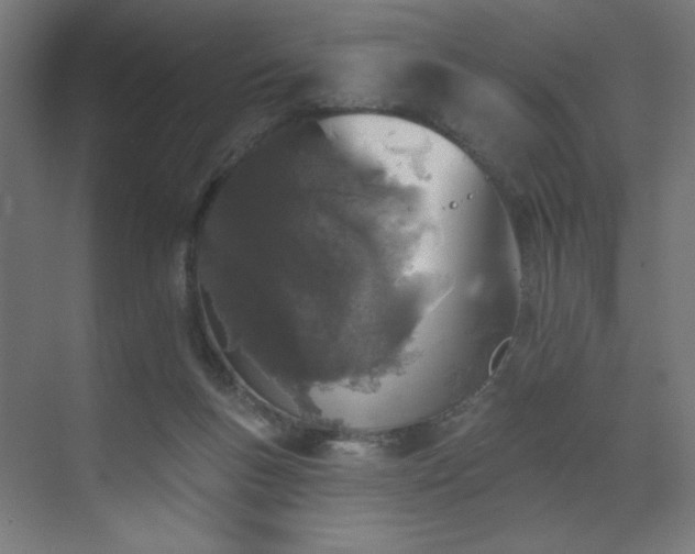 X0000072510167200607141141