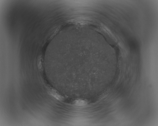 X0000072510169200607141141