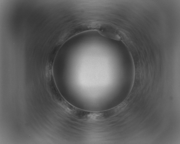 X0000072510172200607141141