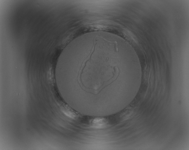 X0000072510173200607141141