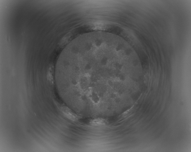 X0000072510175200607141141