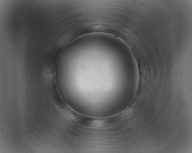 X0000072510176200607141141