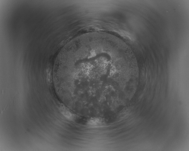 X0000072510177200607141141