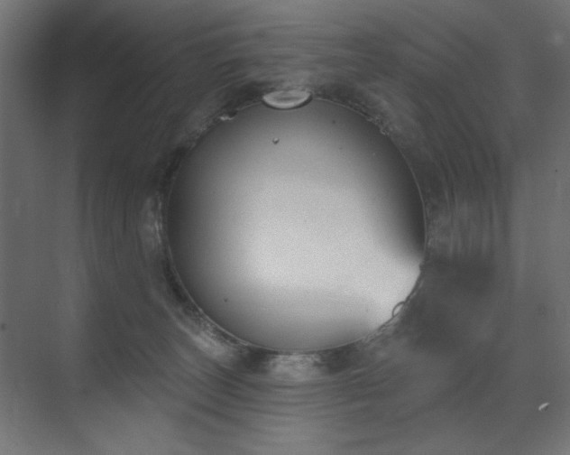 X0000072510179200607141141