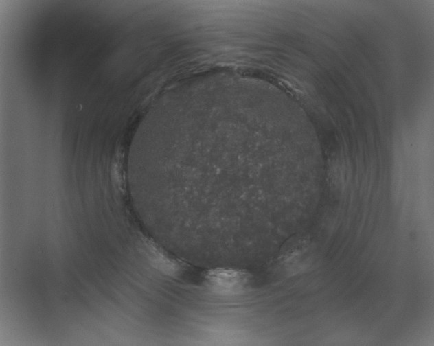 X0000072510181200607141141