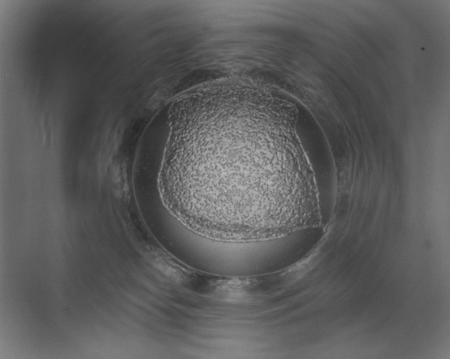 X0000072510182200607141141