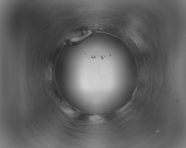 X0000072510183200607141141