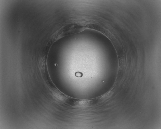 X0000072510184200607141141