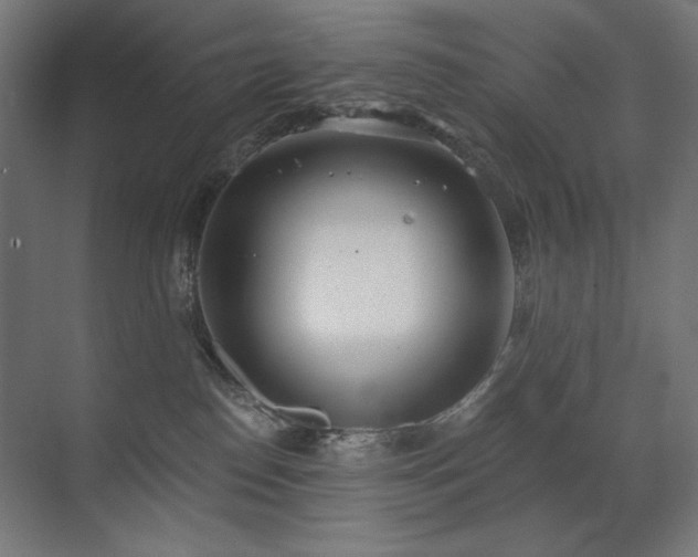 X0000072510186200607141141