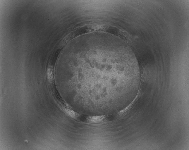 X0000072510191200607141141