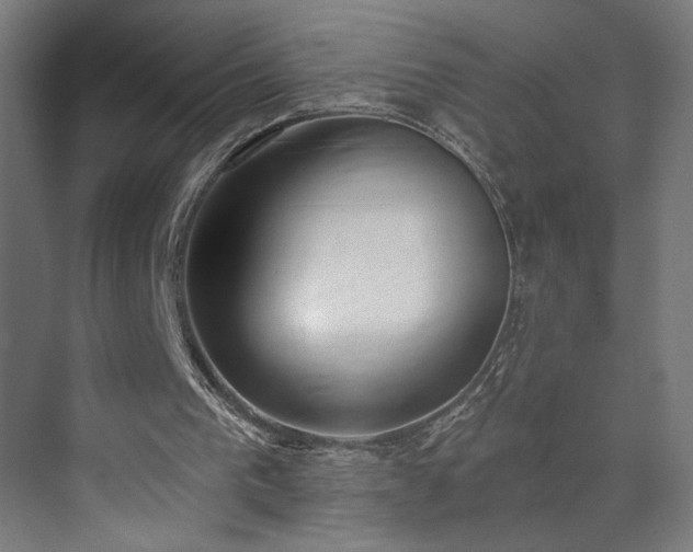 X0000072510193200607141141