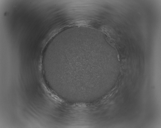 X0000072510194200607141141