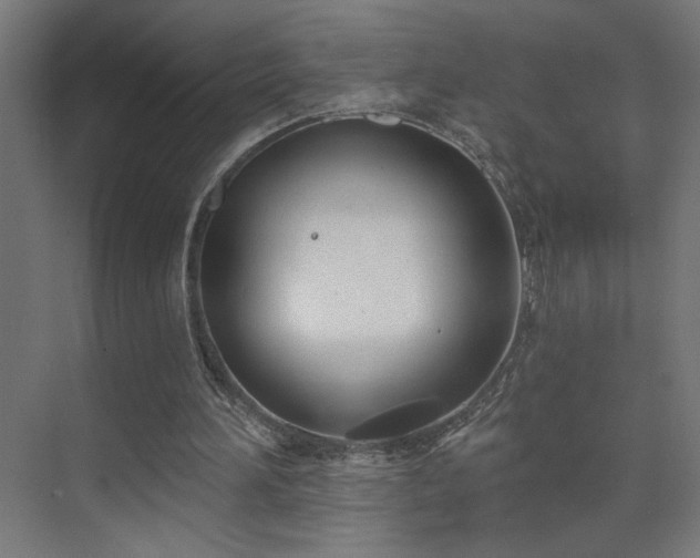 X0000072510196200607141141