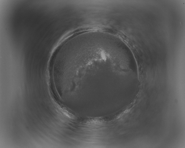 X0000072510198200607141141