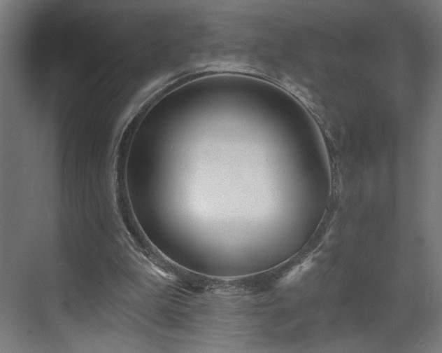 X0000072510199200607141141