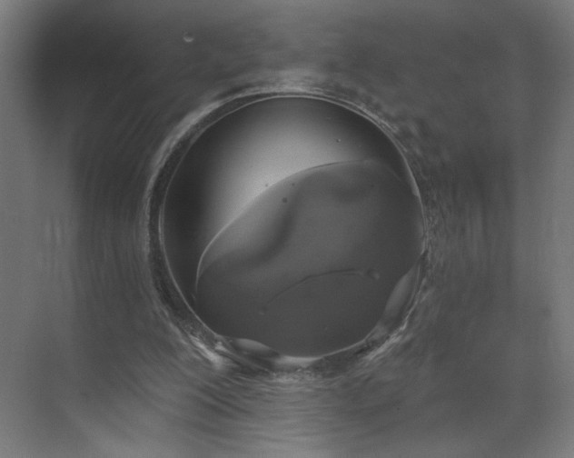 X0000072510200200607141141