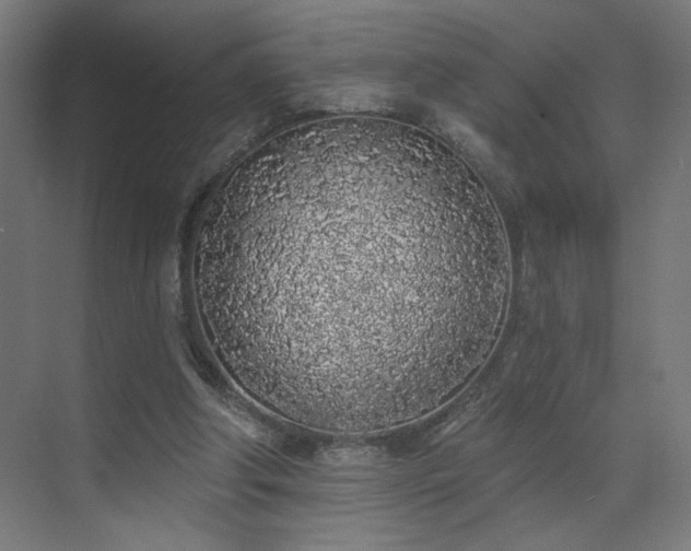 X0000072510202200607141141