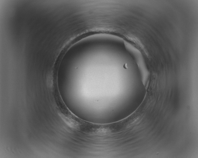 X0000072510204200607141140