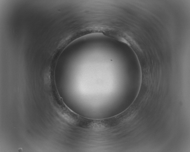 X0000072510207200607141140