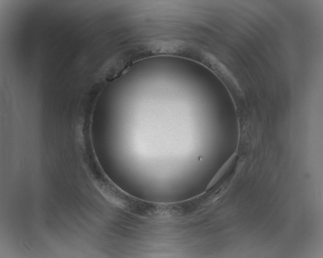 X0000072510209200607141140