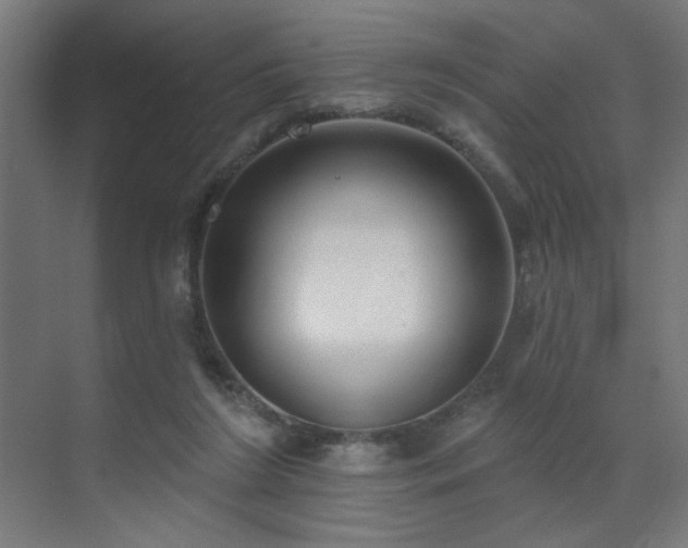 X0000072510212200607141140