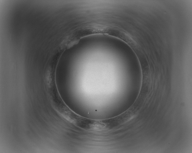 X0000072510215200607141140