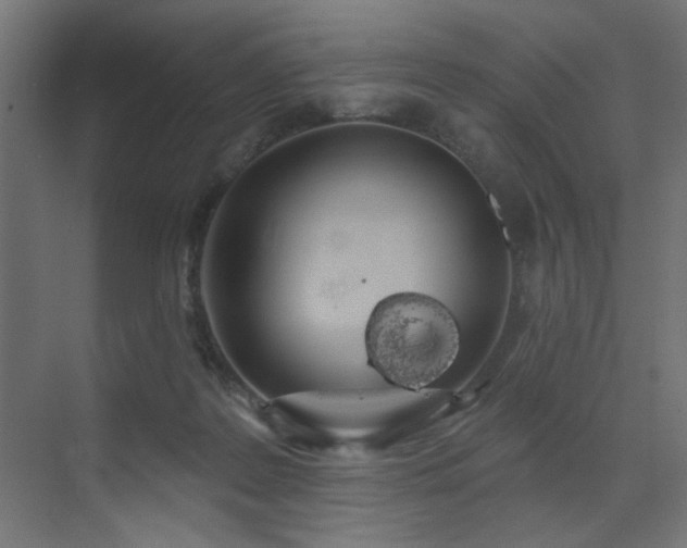 X0000072510219200607141140