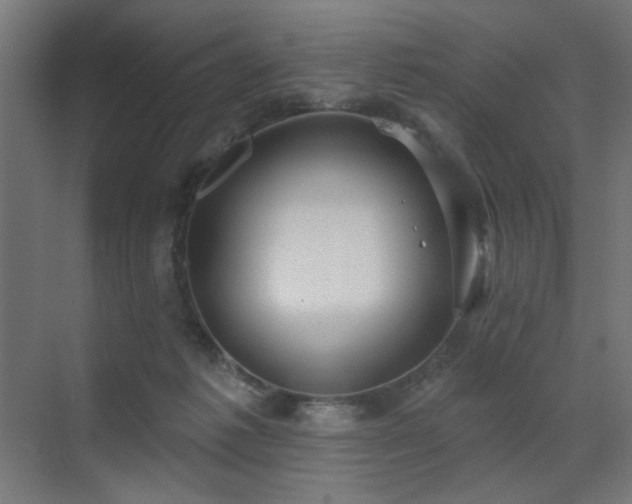 X0000072510221200607141140