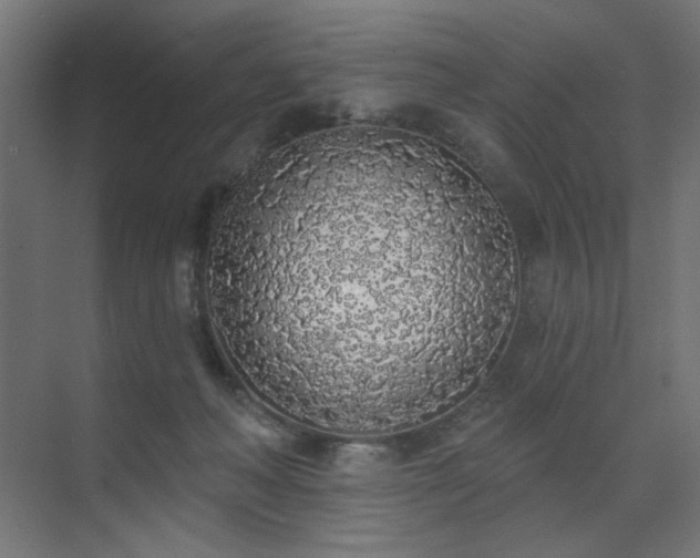 X0000072510222200607141140