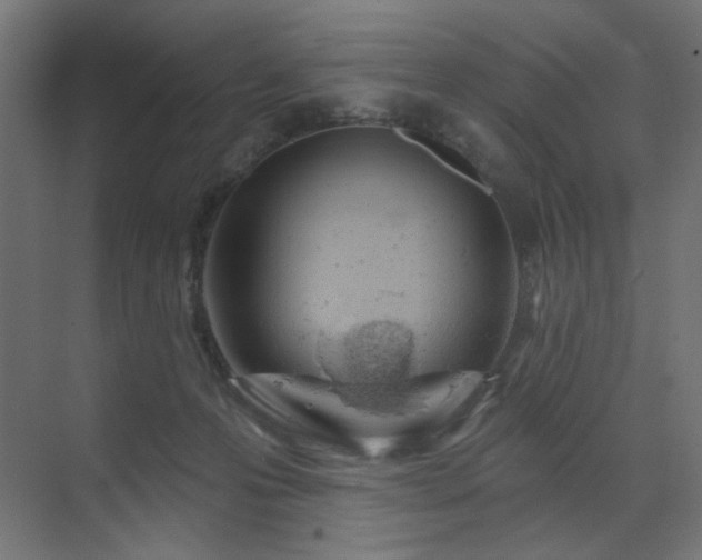 X0000072510223200607141140