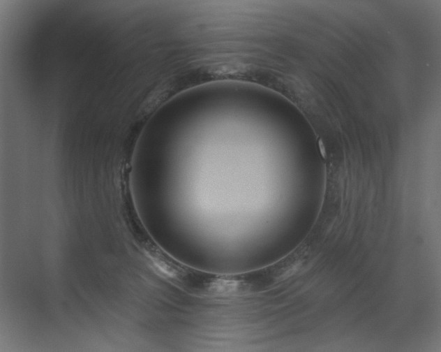 X0000072510227200607141140