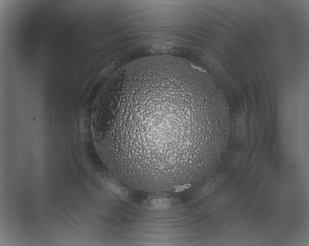 X0000072510228200607141140