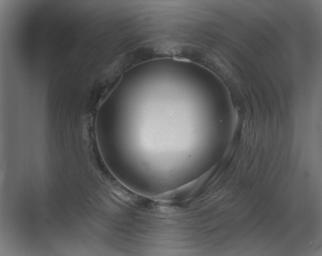 X0000072510229200607141140