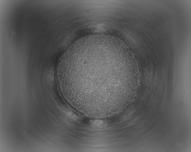 X0000072510230200607141140