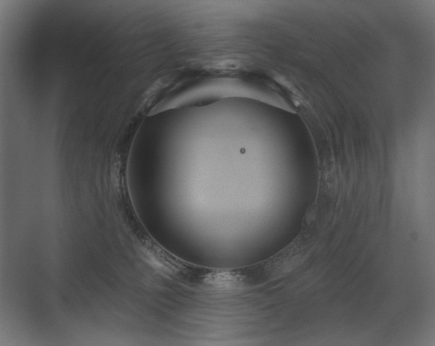 X0000072510231200607141140