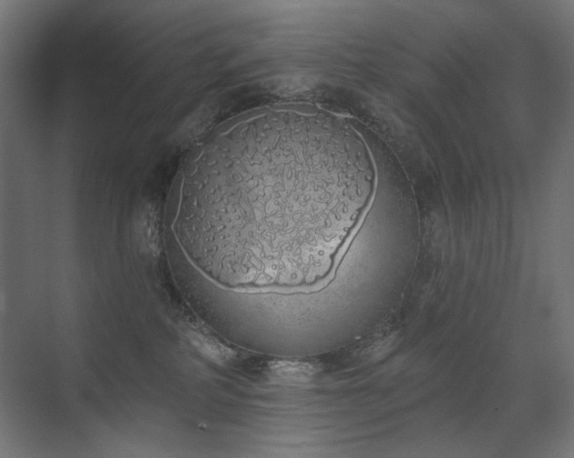 X0000072510234200607141140