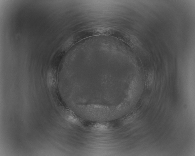 X0000072510236200607141140