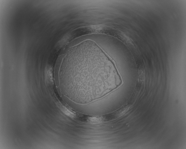 X0000072510238200607141140