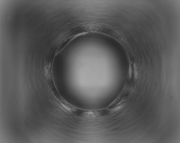 X0000072510239200607141140