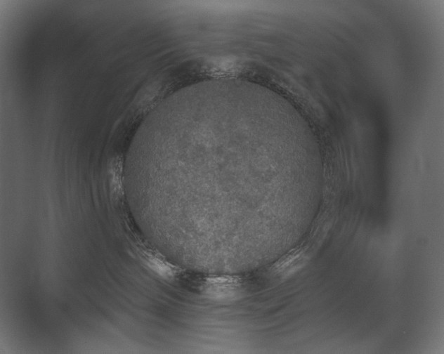 X0000072510240200607141140