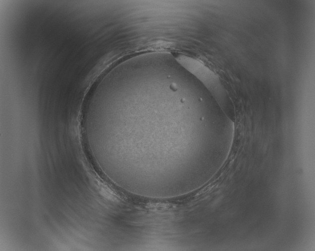 X0000072510242200607141139