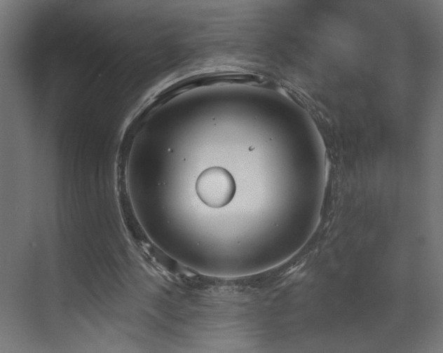 X0000072510244200607141139