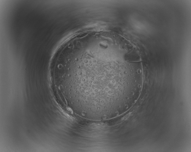 X0000072510245200607141139