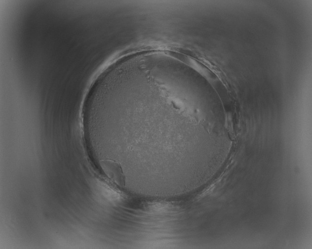 X0000072510246200607141139