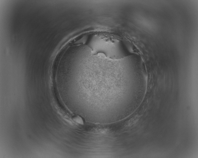 X0000072510247200607141139