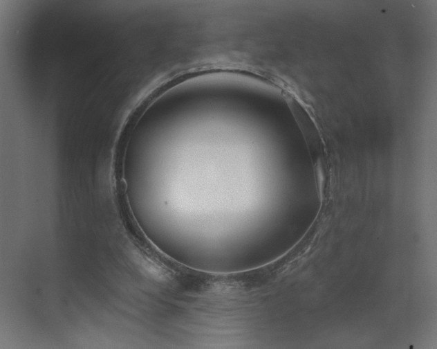 X0000072510248200607141139